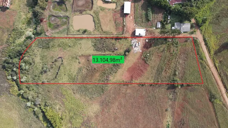 Área no bairro Vila Sulgon, em Palmeira das Missões